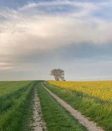 Le Bouchat : Maisonnette Au Calme Pour 2 +1 Guest Dom wakacyjny Cesset