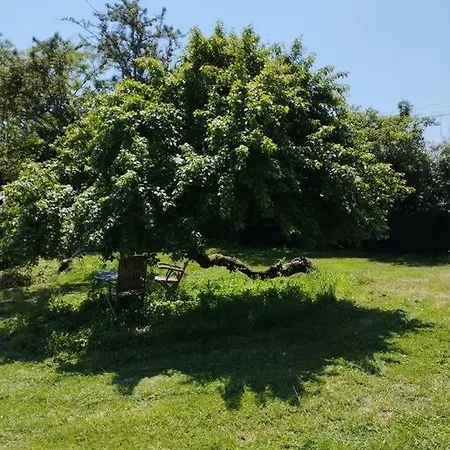 Dom wakacyjny Le Bouchat : Maisonnette Au Calme Pour 2 +1 Guest